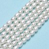 Natural Cultured Freshwater Pearl Beads Strands PEAR-J006-07F-2