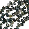 Natural Moss Agate Beads Strands G-P604-A11-01-2
