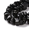 Natural Shungite Stone Beads Strands G-G925-04A-4