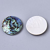 Natural Abalone Shell/Paua Shell Cabochons SSHEL-N034-45-2