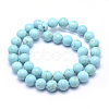 Natural Magnesite Beads Strands TURQ-G148-07-10mm-2
