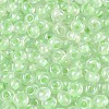 FGB Inside Colours Transparent Glass Seed Beads SEED-T009-01B-2