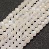 Natural Rainbow Moonstone Beads  Strands G-F460-23-1