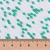 MIYUKI Round Rocailles Beads X-SEED-G008-RR0572-2