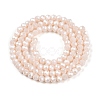 Electroplate Glass Beads Strands EGLA-A044-P3mm-A05-3