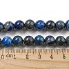 Natural Lapis Lazuli Beads Strands G-E483-17-8mm-7