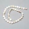 Natural Freshwater Shell Beads X-BSHE-I011-01D-02-2