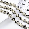 Natural Dalmatian Jasper Beads Strands G-N326-100-02-4