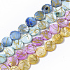Drawbench Freshwater Shell Beads Strands SHEL-T014-012-1