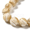Natural Trochus Shell Beads Strands SHEL-K006-18B-3
