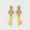 Tibetan Style Alloy Pendants GLF0220Y-1