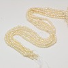 Grade AA Natural Cultured Freshwater Pearl Beads Strands PEAR-L003-C-03-01-2