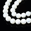 Natural Trochid Shell/Trochus Shell Beads Strands SSHEL-S266-023A-03-3