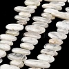 Natural Moonstone Beads Strands G-M408-D03-1