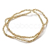 Electroplate Glass Faceted Rondelle Beads Strands EGLA-D020-3x2mm-58-5