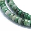 Natural Green Spot Jasper Beads Strands G-F631-A18-6