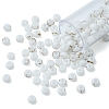 6/0 Opaque Glass Seed Beads SEED-YW0002-13Q-2