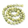 Natural Taiwan Jade Beads Strands X-GSR032-4