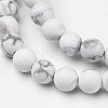 Natural Howlite Beads Strands G-D809-16-6mm-3