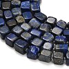 Natural Lapis Lazuli Beads Strands G-D108-B01-3