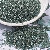 MIYUKI Delica Beads X-SEED-J020-DB2379-1