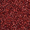 Glass Bugle Beads SEED-S032-08A-25-3