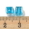 Electroplate Glass Beads EGLA-Z004-04A-06-3
