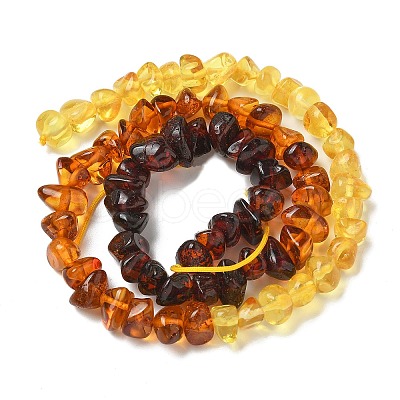 Gradient Color Natural Amber Beads Strands G-K387-F01-01-1