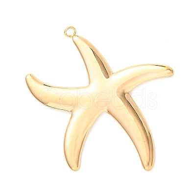 304 Stainless Steel Pendants STAS-K317-02G-1