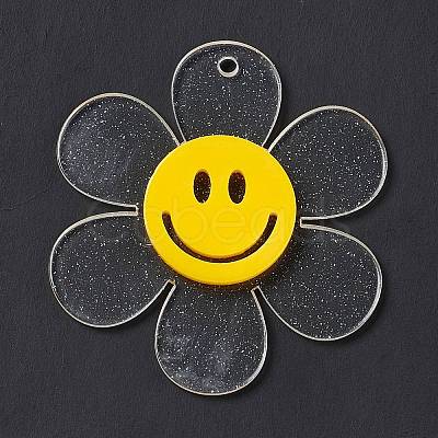 Transparent Acrylic Big Pendants OACR-P012-A06-1