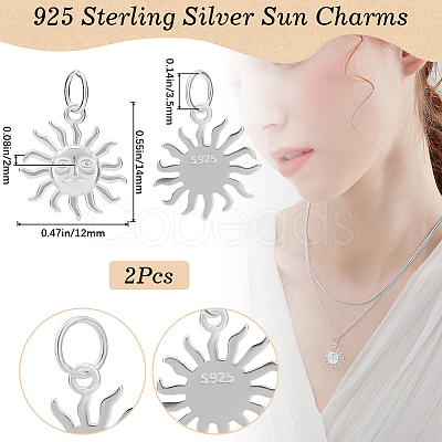 2Pcs 925 Sterling Silver Charms STER-BBC0006-96-1