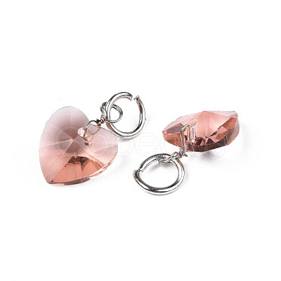 Faceted Transparent Glass Charms GLAA-T024-04J-1