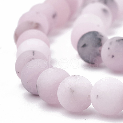 Natural Cherry Blossom Jasper Beads Strands G-T106-276-1