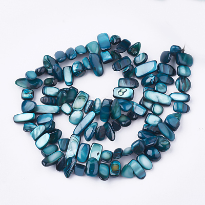 Freshwater Shell Beads Strands SHEL-S274-40B-1