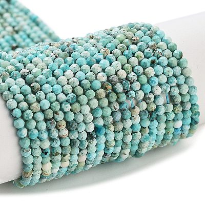 Natural HuBei Turquoise Beads Strands G-G792-38-01-1