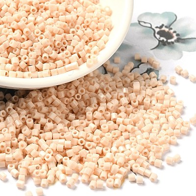 Opaque Glass Seed Beads SEED-S042-22B-01-1