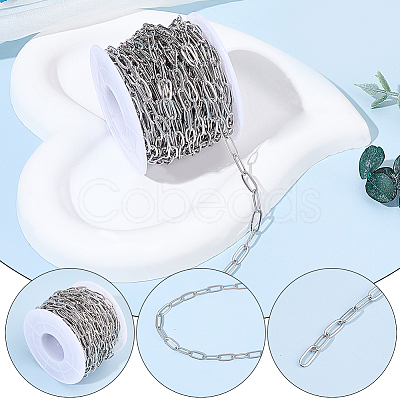 1Roll Ion Plating(IP) 304 Stainless Steel Cable Chains CHS-BM0001-06-1
