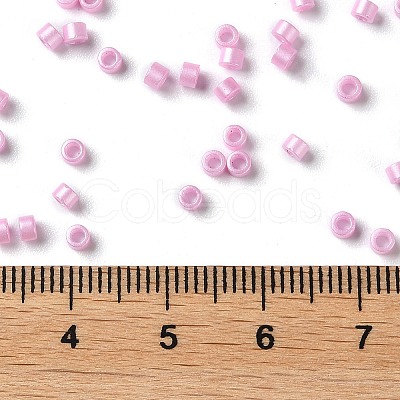 Baking Paint Glass Seed Beads X-SEED-S042-15A-04-1