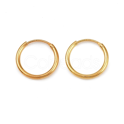 925 Sterling Silver Hoop Earrings STER-B008-01B-G-1