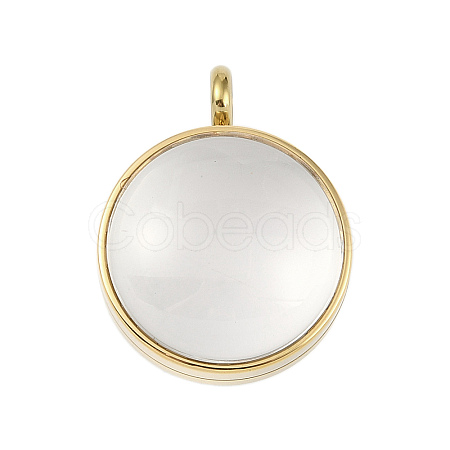 Ion Plating(IP) 304 Stainless Stee Locket Pendants STAS-S132-15G-03-1