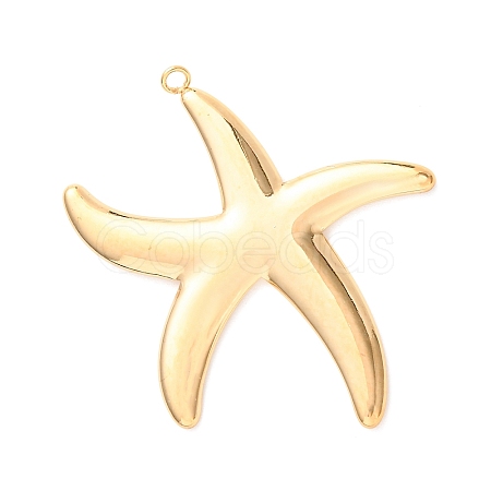 304 Stainless Steel Pendants STAS-K317-02G-1