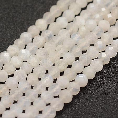 Natural Rainbow Moonstone Beads  Strands G-F460-23-1