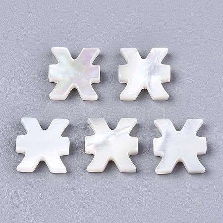 Natural White Shell Beads LS-SSHEL-ZX004-02E-1