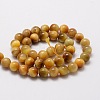 Natural Tiger Eye Round Beads Strands G-E329-10mm-40C-2