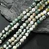 Natural Tree Agate Beads Strands G-K194-6mm-02-1