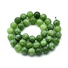 Natural Quartz Beads Strands G-N355-10mm-03-2