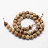 Natural Picture Jasper Beads Strands G-D840-47-10mm-2