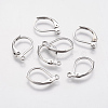 Tarnish Resistant 304 Stainless Steel Leverback Earring Findings STAS-F141-03P-1