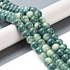 Baking Paint Glass Bead Strands GLAA-H031-01C-07-2