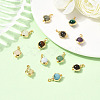12Pcs 12 Styles Round Natural Mixed Gemstone Charms PALLOY-SW00151-3